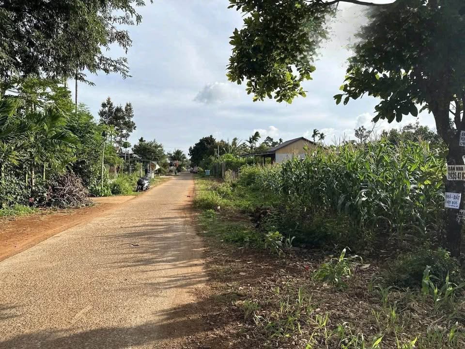 Đất Mặt Tiền D4 Tân An, Buôn Ma Thuột - 98m² - Giá 1.49 Tỷ