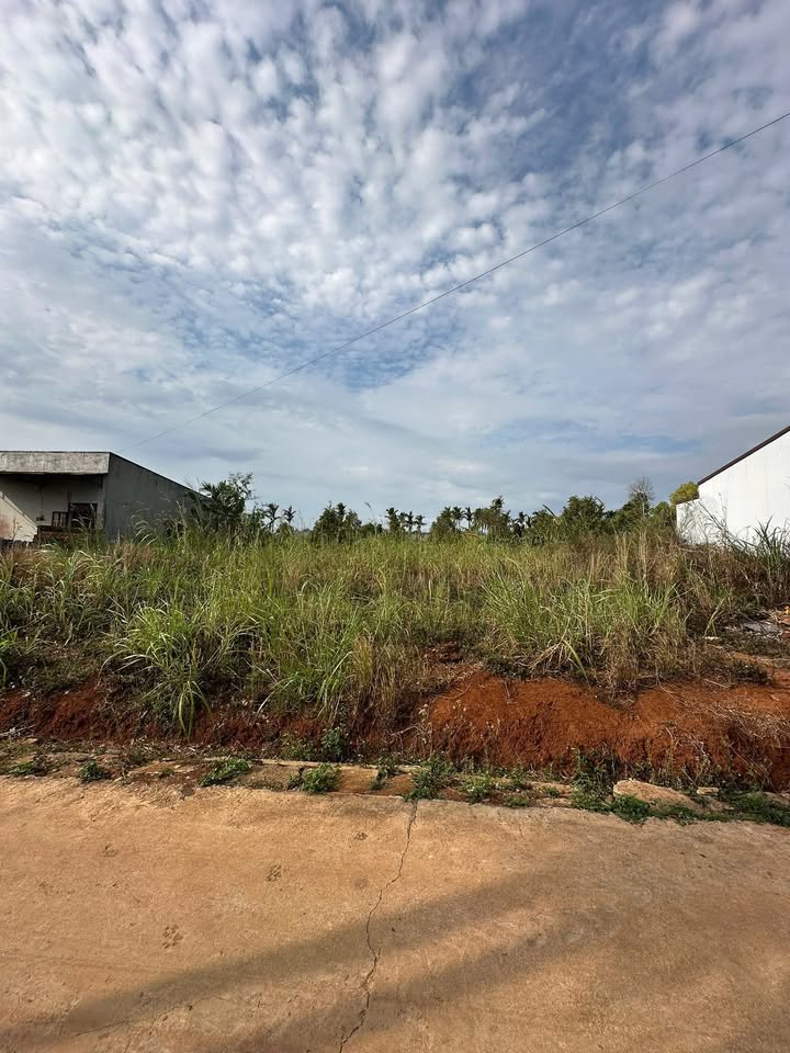 Bán đất mặt tiền Trần Nguyên Hãn, Buôn Hồ - 240m² thổ cư, giá 1.82 tỷ