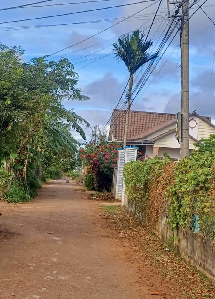 Đất nền Buôn Đôn 132m² - Sổ đỏ thổ cư, giá 579 triệu - Lộc đầu xuân!