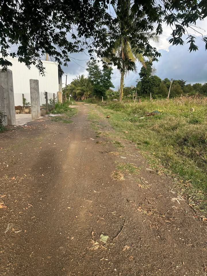 Bán đất thổ cư 318m² tại Thôn 1, Hòa An, Krông Pắc - Gần chợ, đường nhựa