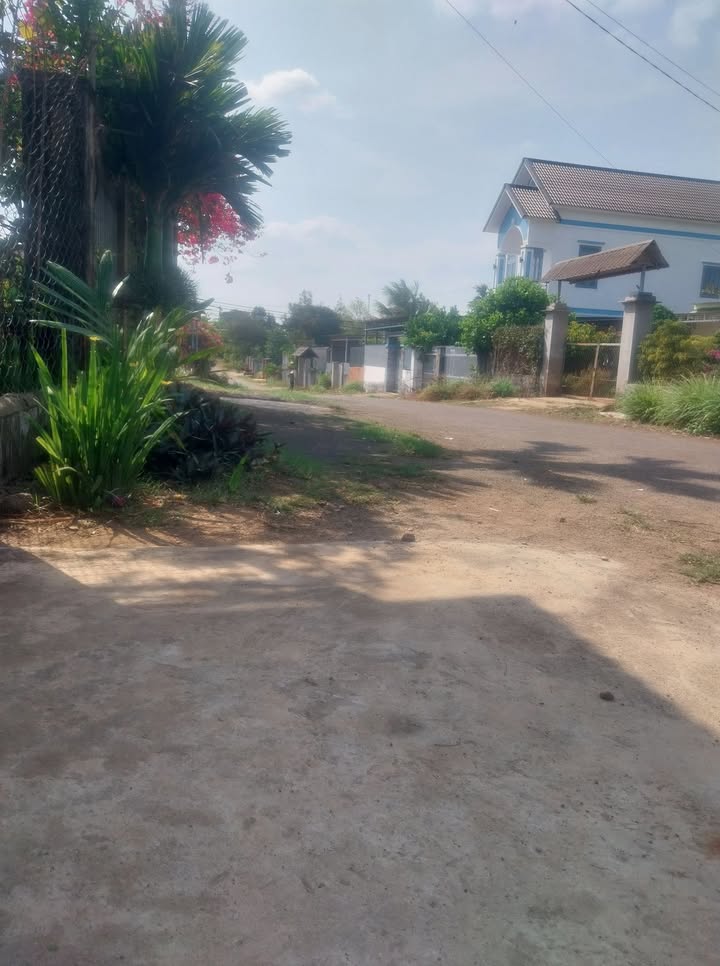 Đất Thổ Cư Buôn Ma Thuột 750m² - Sổ Đỏ Rõ Ràng, Giá Tốt