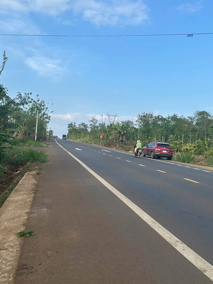 Đất nền Cư Jút 1584m² Đường Hồ Chí Minh – Tiềm năng tăng giá vượt trội!