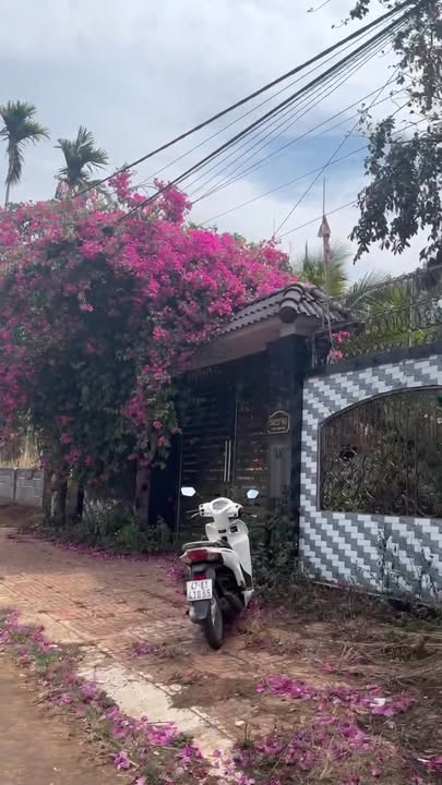 Đất Thổ Cư 280m² Krông Búk - Giá Đầu Tư 9.8 Tỷ