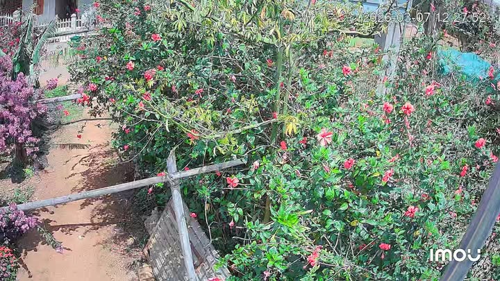 Nhà riêng Đắk Ha 660m² 2 tỷ - Chính chủ bán