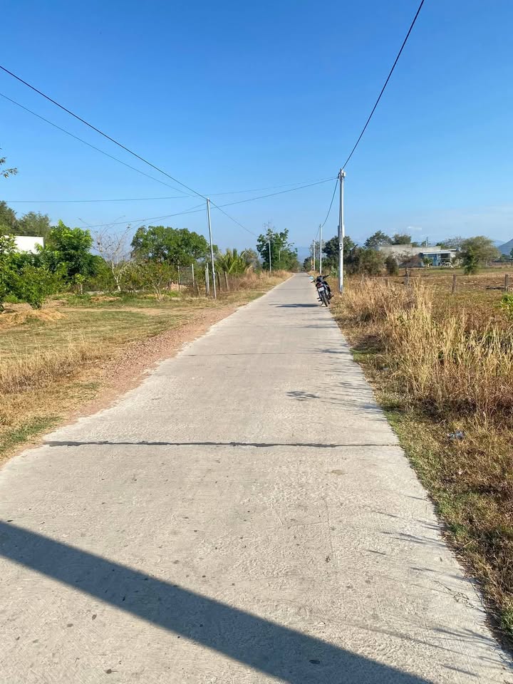 Bán Đất Vườn 1200m² Xã Thuận Hòa, Hàm Thuận Bắc - Sổ Đỏ, Giá 300 Triệu