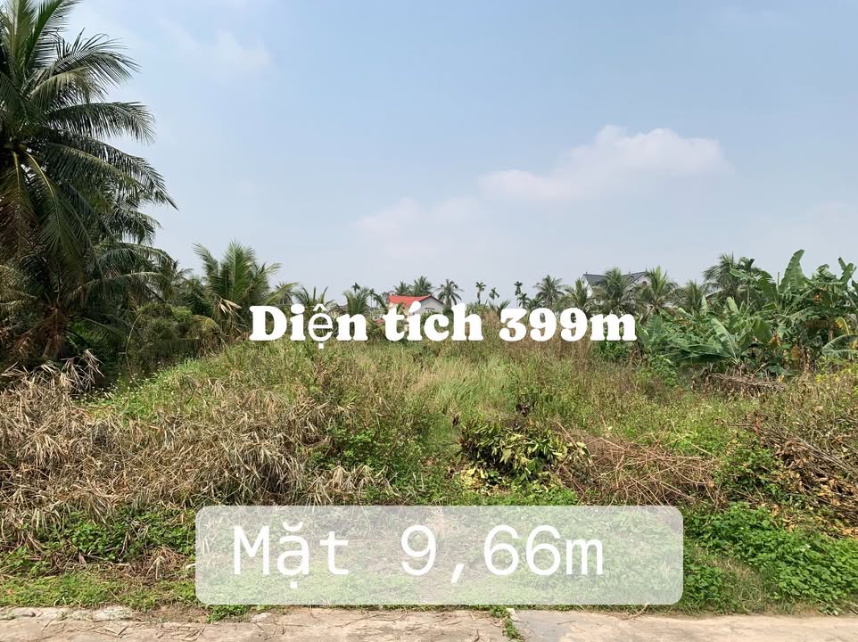 Đất nền Đồng Kênh, Tứ Kỳ 399m² - Tiềm năng tăng giá vượt trội!