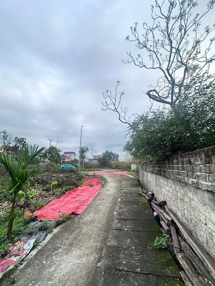 Đất Nền 103m² Quảng Ninh - Pháp Lý Rõ Ràng, Giá Đầu Tư Tốt