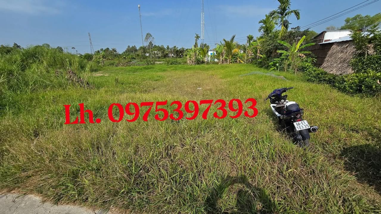 Đất nền Châu Thành An Giang 155m² - Sổ đỏ chính chủ!
