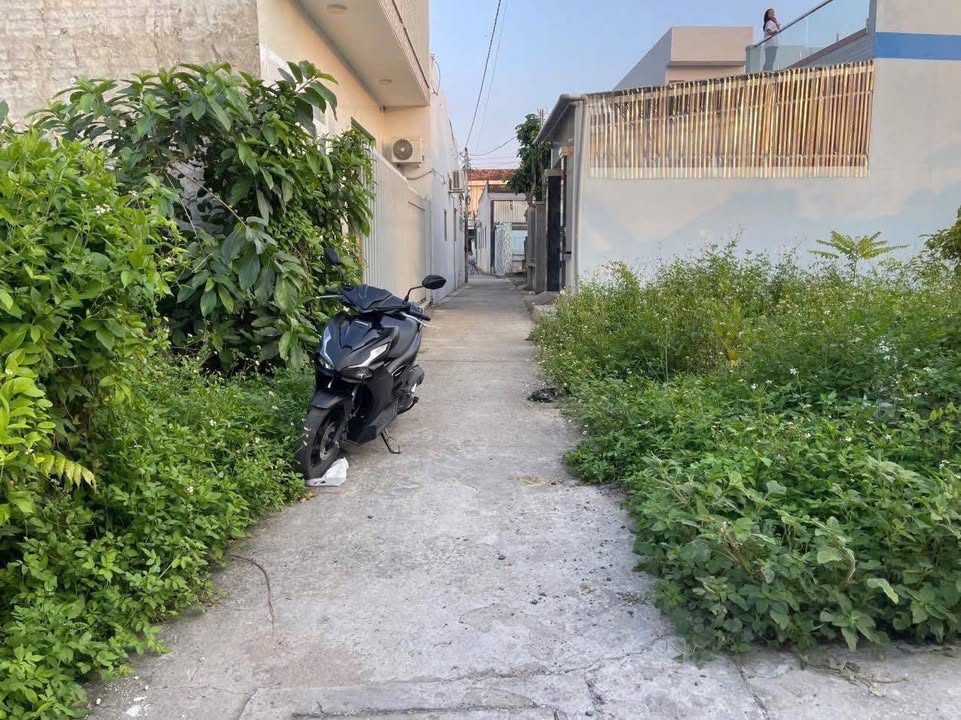 Bán Đất Thổ Cư 100m² TP.Tân An, Long An - Giá 990 Tỷ/Lô