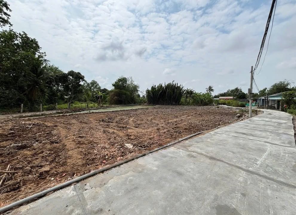 Đất ONT 125m² MT 5m, Đức Tân, Tân Trụ - Giá 365 Triệu, Sẵn Sổ Hồng