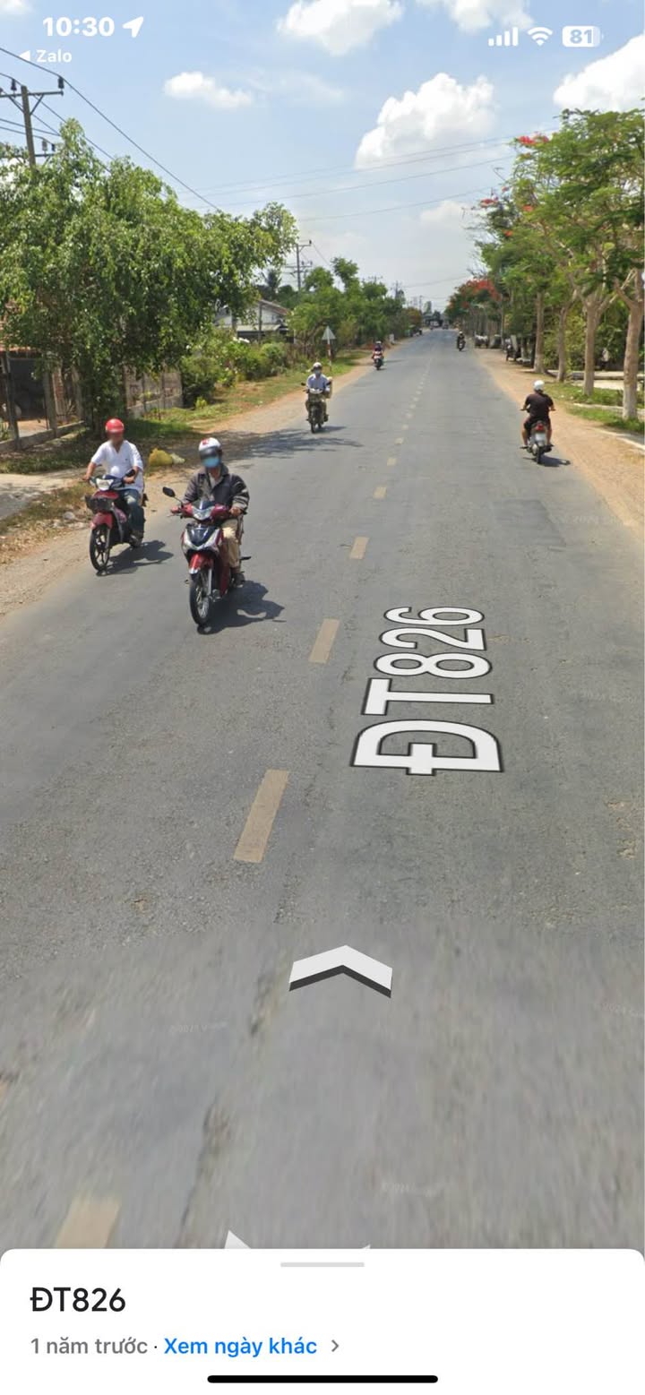 Đất Vườn Mặt Tiền ĐT 826 Cần Đước 1537m² - Kinh Doanh/Kho Xưởng Giá Tốt