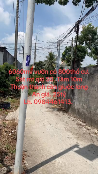 Đất nền Thuận Thành Cần Giuộc 6060m² - Sổ hồng chính chủ!