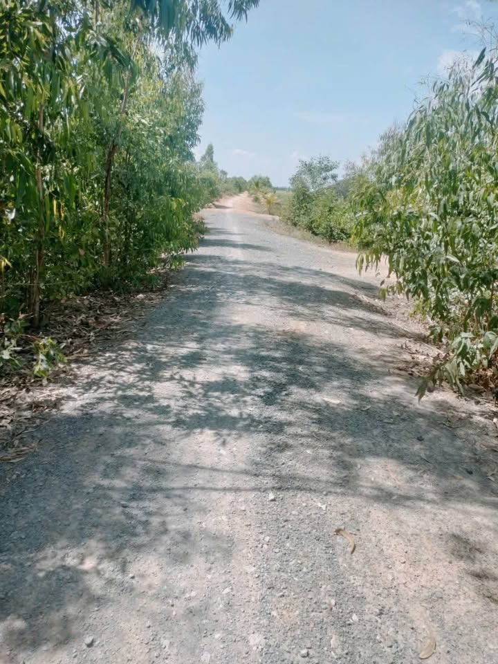 Đất Nền Long An 14.000m² - Sổ Đỏ Rõ Ràng, Giá Tốt Đầu Tư