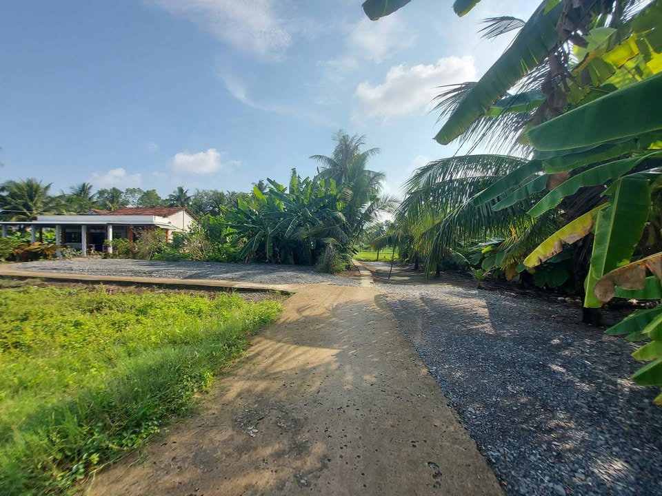 Đất Nền Bình Trinh Đông, Long An 116m² - Sổ Đỏ Chính Chủ