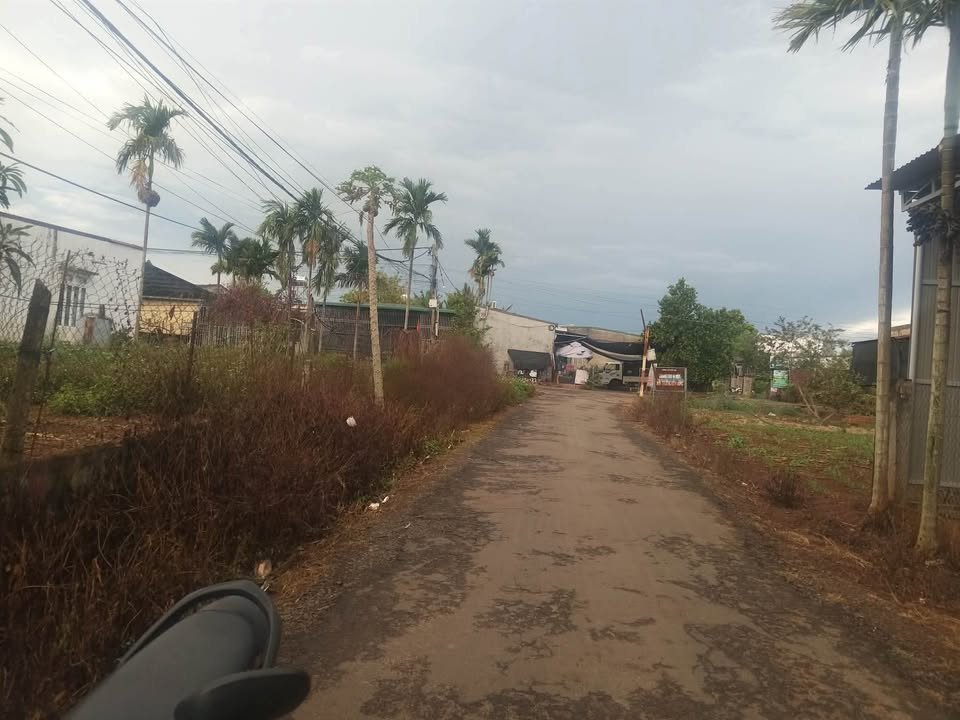 Nhà Mặt Tiền Phước An, Krông Pắc - Kinh Doanh Đắc Lợi, 224m²