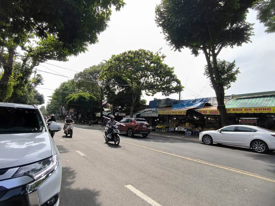 Mặt Tiền Nguyễn Tri Phương - Vũng Tàu 48m² Giá 14 Triệu/Tháng - Kinh Doanh Đa Ngành