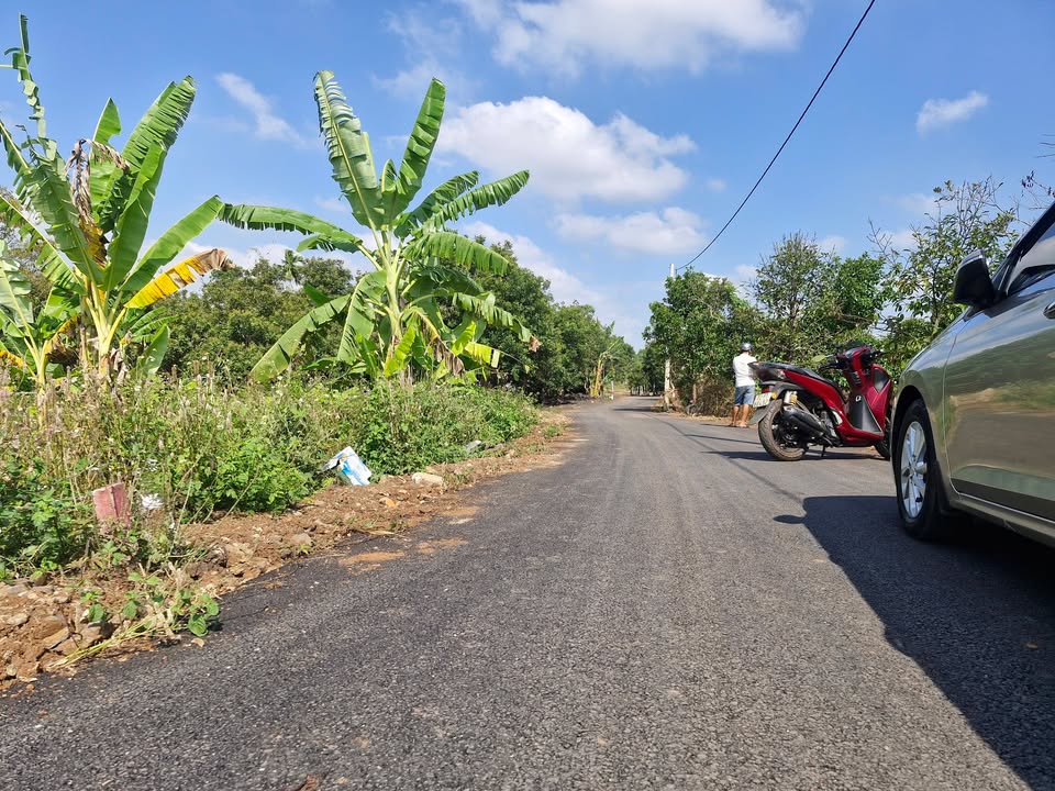 Đất Vườn Bình Ba Châu Đức 2000m² - Sổ Hồng Sẵn Sàng - Giá 2.2 Tỷ