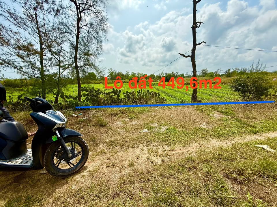 Đất Trồng Cây 449.6m² Ngũ Hành Sơn, Đà Nẵng - Sổ Hồng Sẵn Sàng