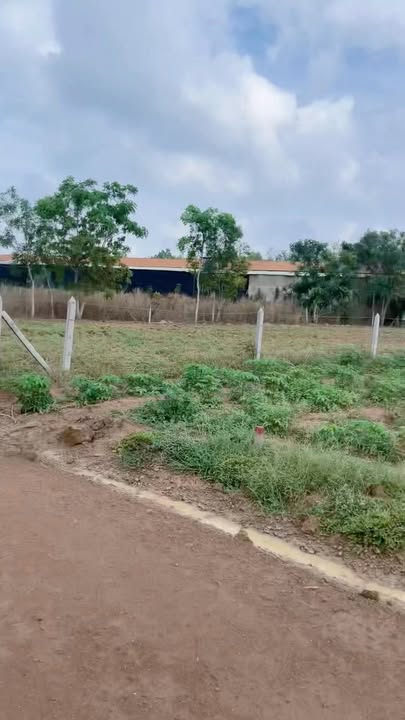 Đất Nền ĐH715 Dầu Tiếng 300m² - Sổ Đỏ Thổ Cư, Sẵn Sàng Đầu Tư