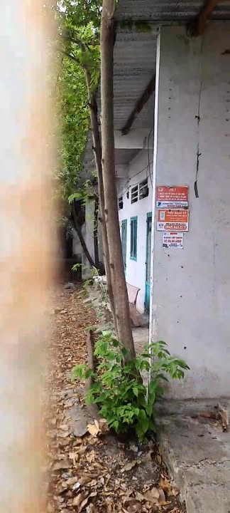 Bán Gấp Đất 598m² Mặt Tiền Phú Mỹ Củ Chi - Sẵn Sàng Khai Thác 10 Phòng Trọ