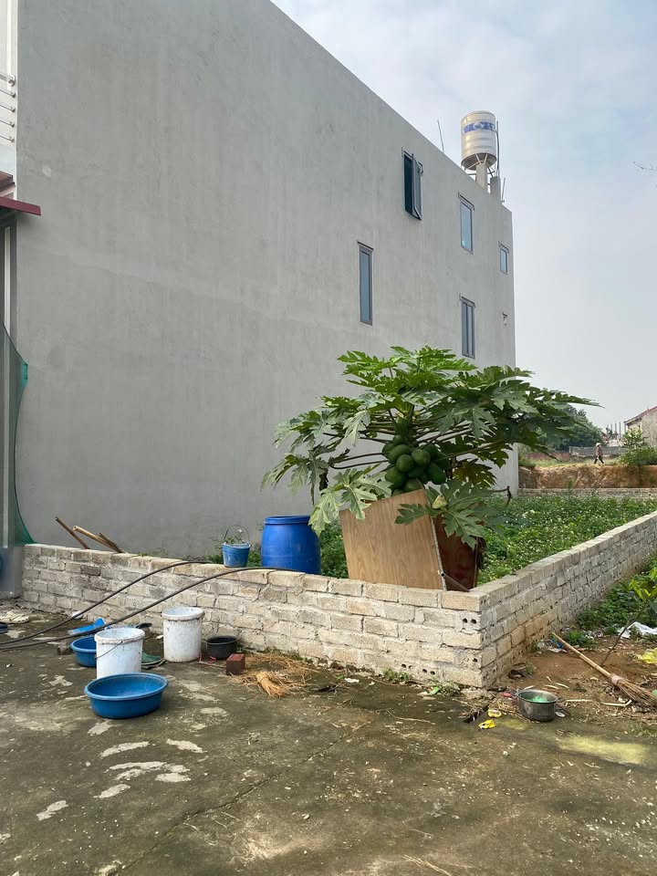 Đất nền TDP Hữu Bằng, Quế Võ 77.5m² - Giá 1.3 tỷ, ô tô tránh