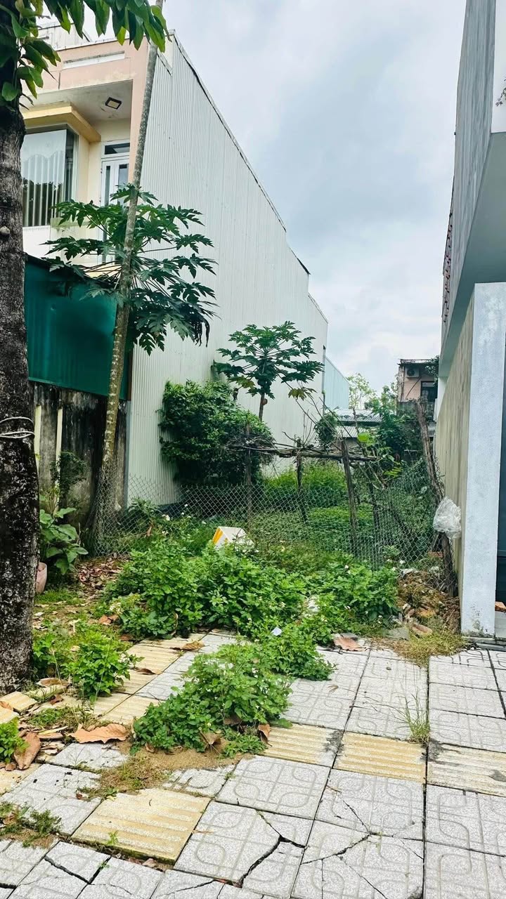 Bán Gấp 2 Lô Đất Vàng Trung Tâm Tam Kỳ - Giá Tốt