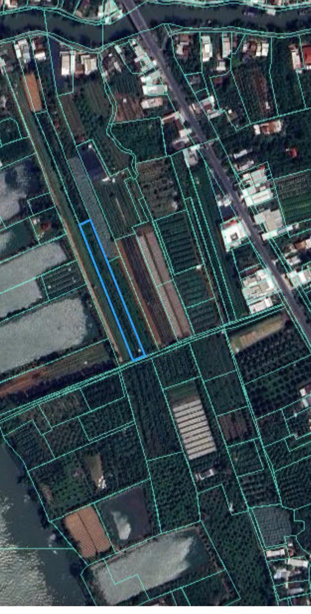 Bán Gấp 2000m² Đất Vườn Vĩnh Thới, Lai Vung - Sổ Đỏ Rõ Ràng, Xe Máy Tới Đất