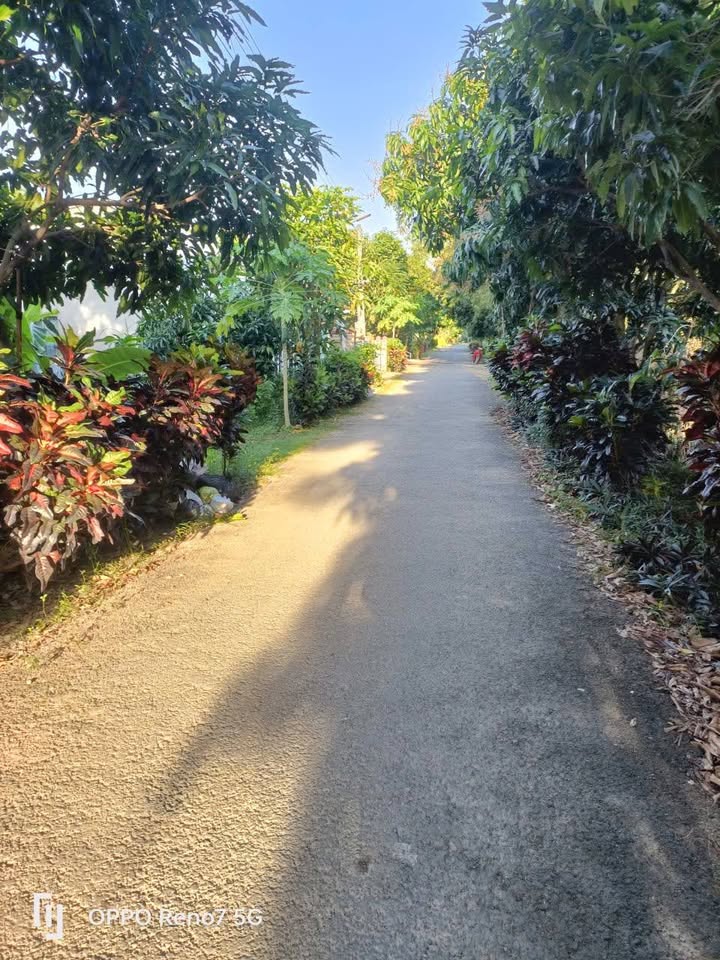 Đất Nền 205.7m² Xã Tịnh Thới, Cao Lãnh - Pháp Lý Sổ Hồng Thổ Cư