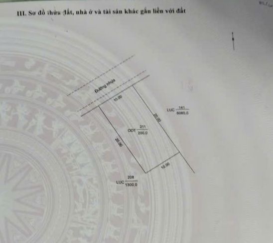 Bán Gấp Vườn Cây Ăn Trái 1500m² Đường Nhựa Mỹ Thới, Long Xuyên - Giá Đầu Tư 5.25 Tỷ