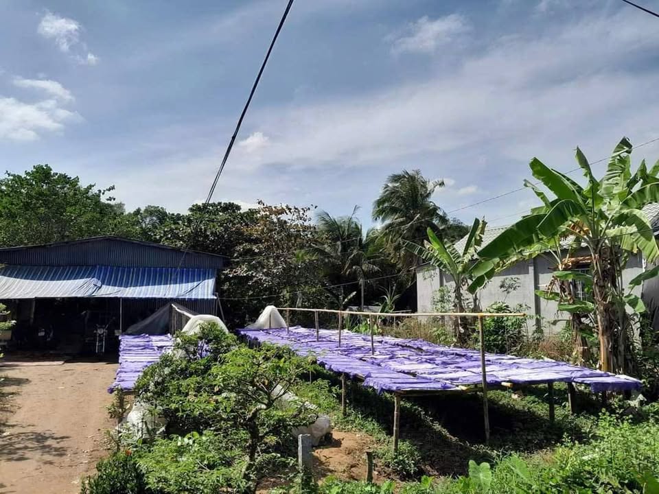 Đất nền An Hiệp, Châu Thành 700m² 1.95 tỷ - Sổ đỏ chính chủ!