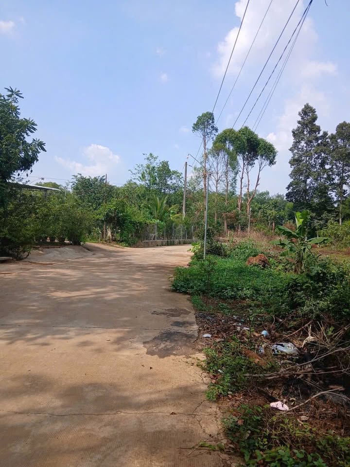 Bán đất Bình Long, Bình Phước 500m² - 450 triệu, 100m² thổ cư