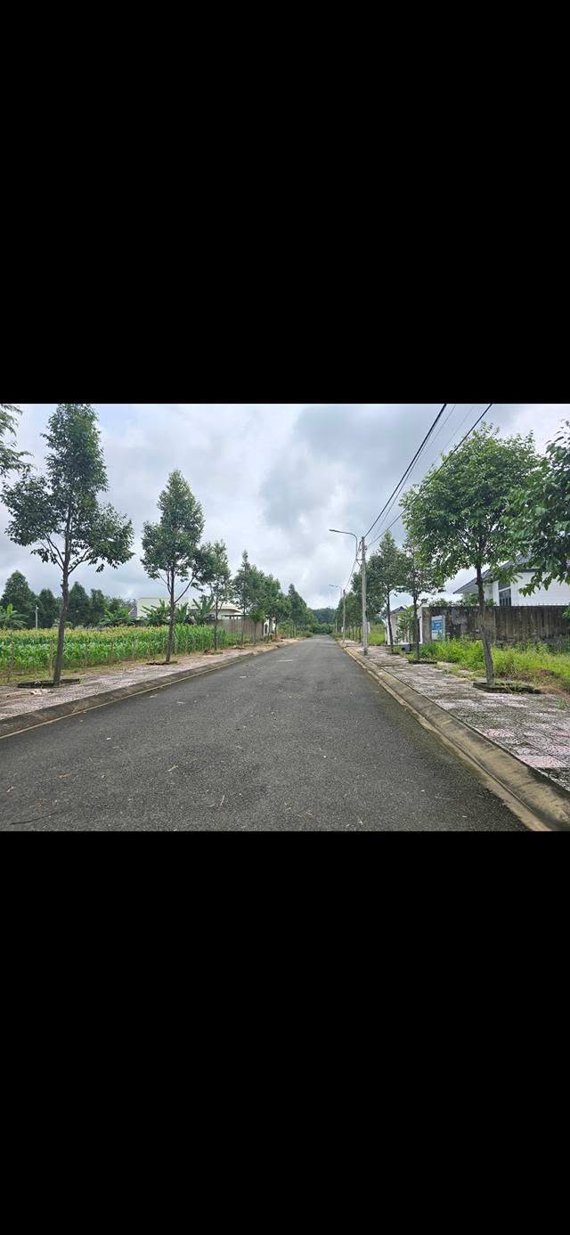 Đất nền Tân Phú Đồng Xoài 280m² 2 tỷ - Sổ đỏ chính chủ