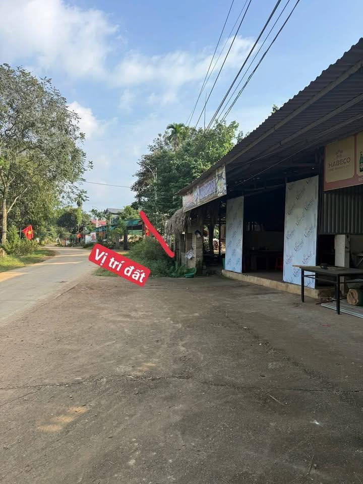 Đất Nền Ngọc Lặc 221m² Mặt Đường Trục Liên Xã - Sổ Đỏ Sẵn Sàng