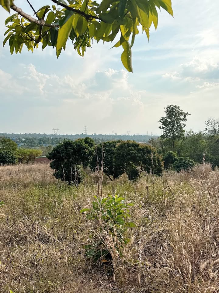 Đất Nền 500m² Đắk Lắk - Sẵn Sổ Nông Nghiệp, Giá 320 Triệu