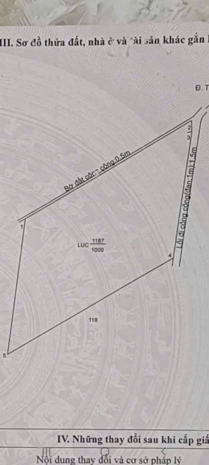 Đất nền 1000m² An Vĩnh Ngãi, Tân An - Sổ đỏ chính chủ, 2 mặt tiền