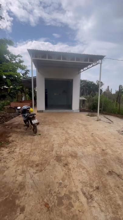 Đất Vườn Mặt Tiền Đường Tránh Chư Sê, 1560m², Giá 2.5 Tỷ - Đầu Tư Sinh Lời