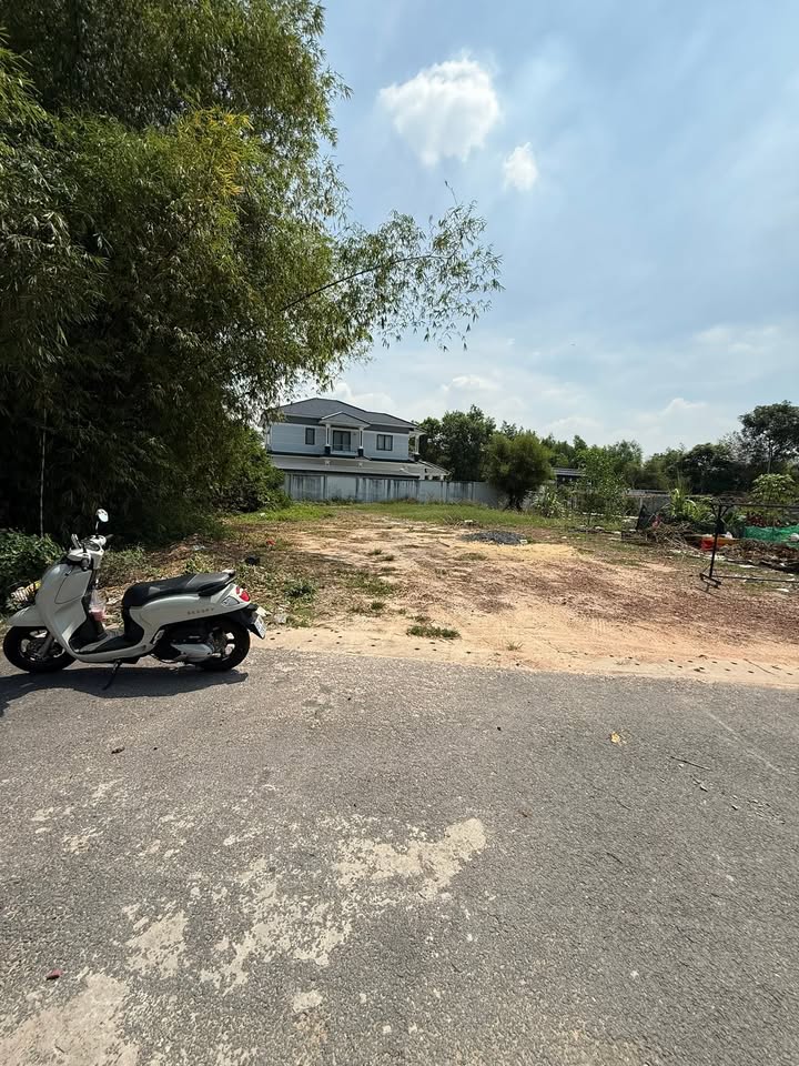 Đất Nền Phú Lợi, Thủ Dầu Một - 459m² Sổ Hồng Riêng, Giá Tốt