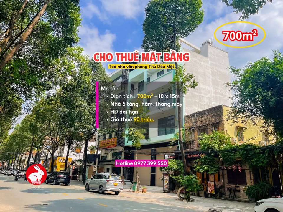 Mặt Bằng KD Phú Lợi, Thủ Dầu Một 700m² - Mặt Tiền Kinh Doanh Đắc Địa!