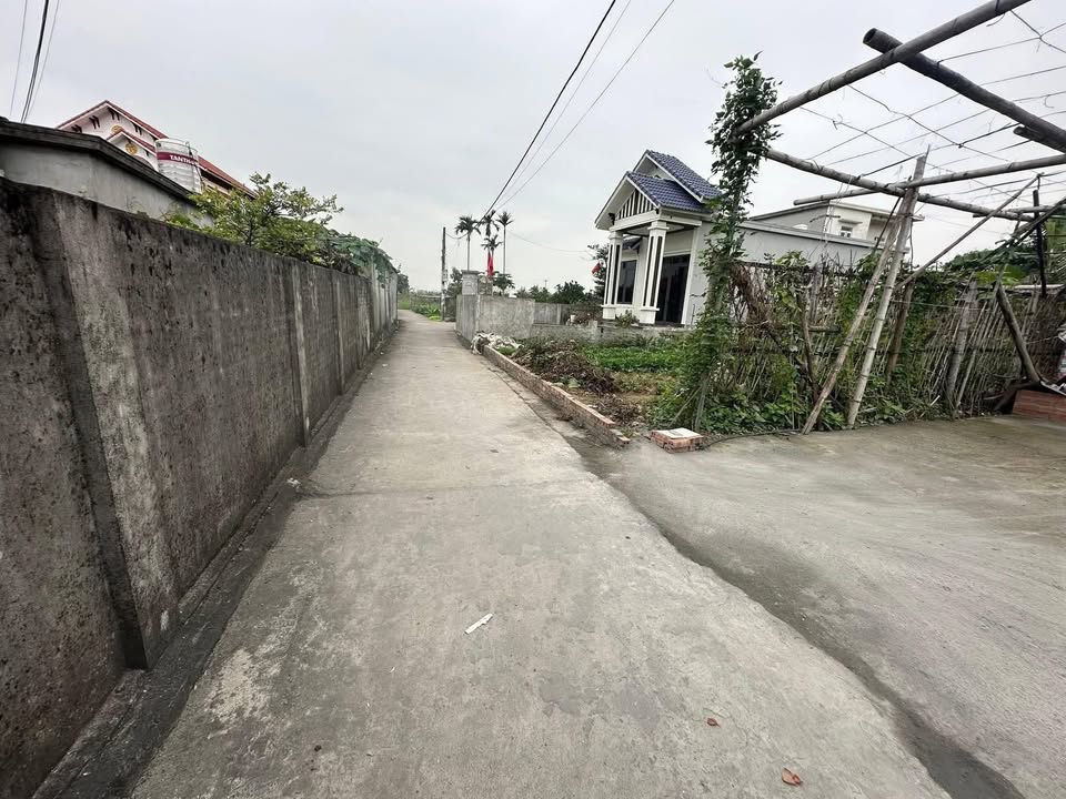 Đất Vĩnh Bảo, Hải Phòng - 98m² Full Thổ Cư, Sát UB Xã Vĩnh Am, Giá Thỏa Thuận