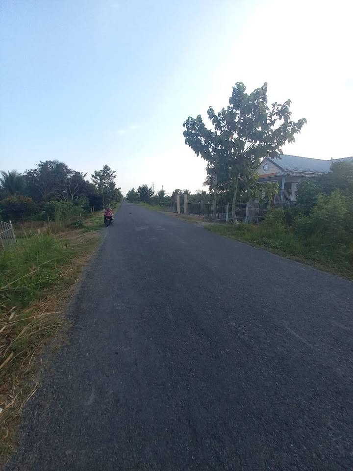 Đất nền Tỉnh lộ 909 Vĩnh Long 2800m² - Sổ đỏ chính chủ, giá đầu tư tốt!