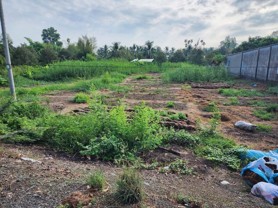 Đất nền Phong Điền Cần Thơ 225m² - Tiềm năng tăng giá!