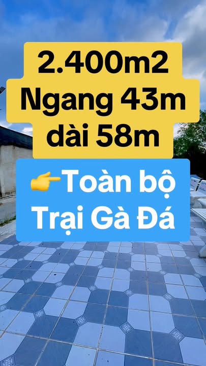 Bán Gấp Trang Trại Gà Đá 2400m² Tặng Đất Vườn Tại Hậu Giang - Giá 3.3 Tỷ