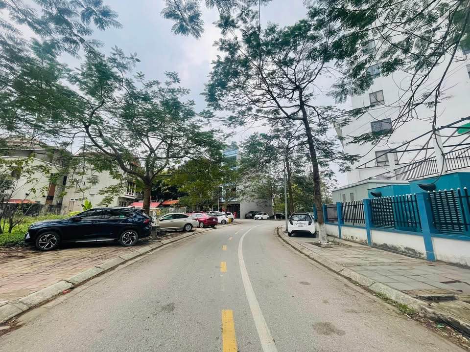 Bán Gấp Biệt Thự Lạc Long Quân 256m² - Kinh Bắc, Bắc Ninh