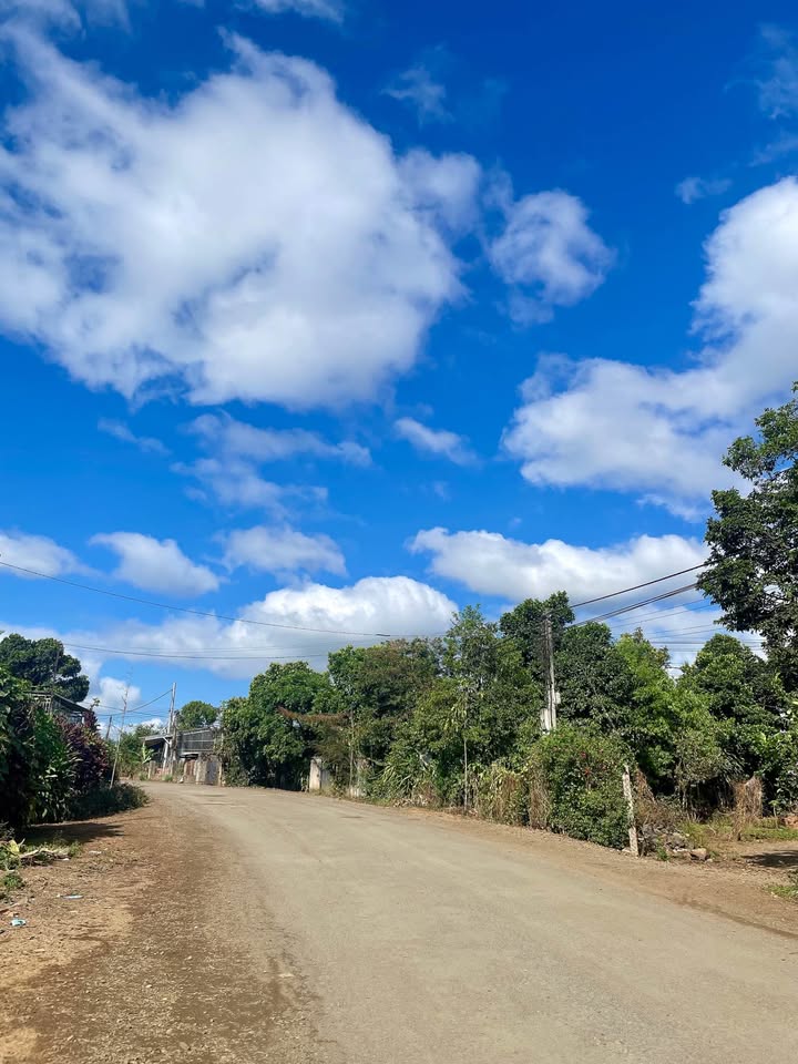 Nhà Mặt Tiền Hàm Nghi 175m² - Kinh Doanh Sầm Uất, Hướng Nam