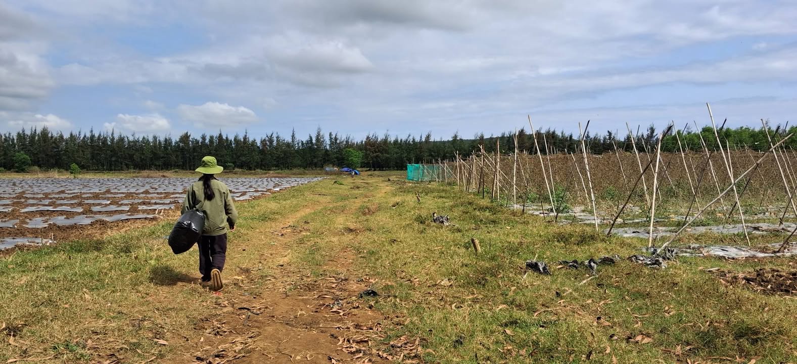 Đất Nền Bình Châu, Quảng Ngãi 1400m² - Gần Biển, Giá Tốt