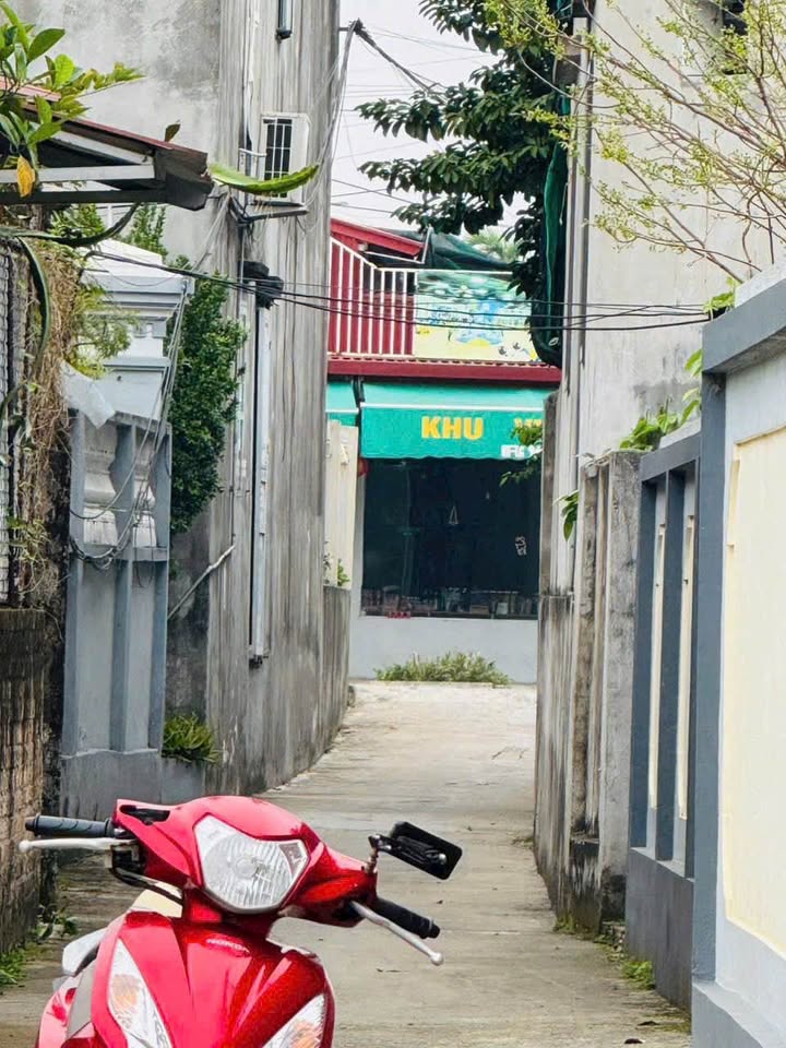 Đất nền 62m² An Đồng, An Dương - Tiềm năng tăng giá!