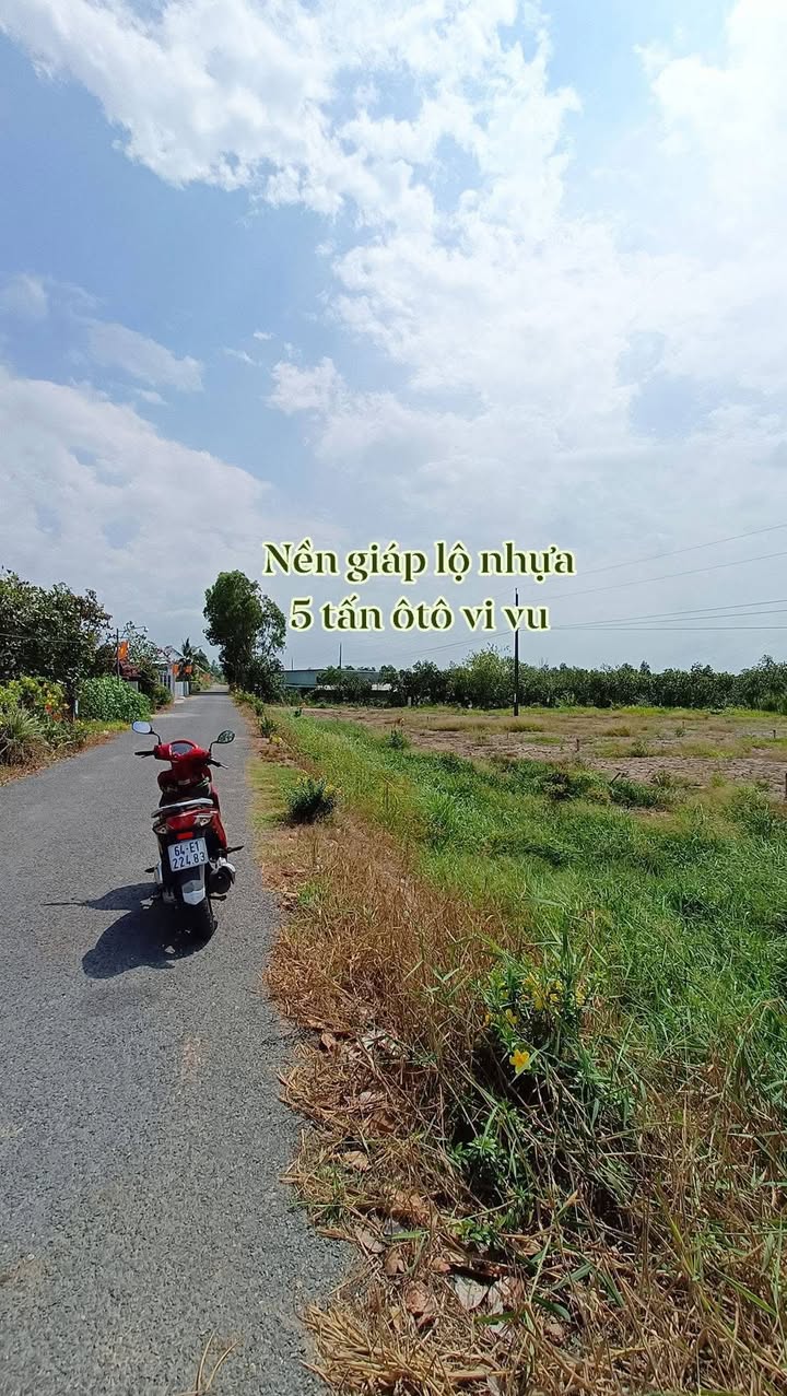 Đất Vĩnh Long 300m² - Gần Chợ Thành Trung, Lộ Nhựa Ô Tô