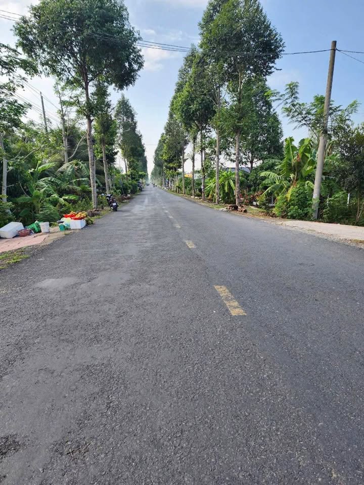 Đất nền Mỹ Khánh Cần Thơ 225m² 790 triệu - Sổ đỏ chính chủ