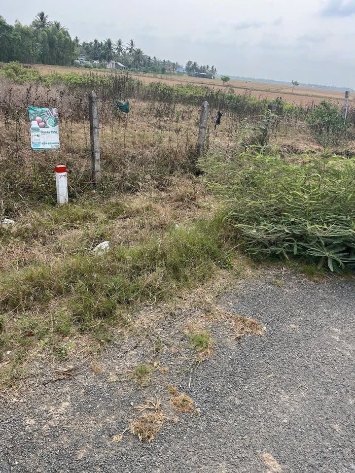 Đất nền Đường 934B Trần Đề 1185m² - Tiềm năng tăng giá vượt trội!