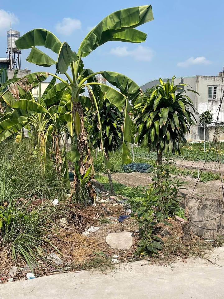 Đất Trảng Dài Biên Hòa 360m² - Sổ Đỏ Chính Chủ Giá 6.5 Tỷ